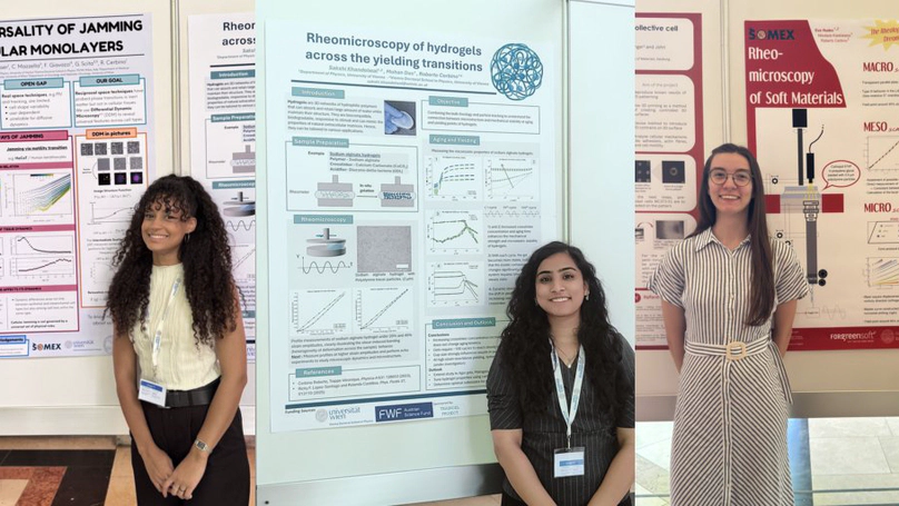 Student Poster Presentations at the ÖPG–SPG Joint Conference