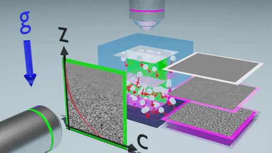 The Non-Equilibrium Physics of Colloidal Sedimentation