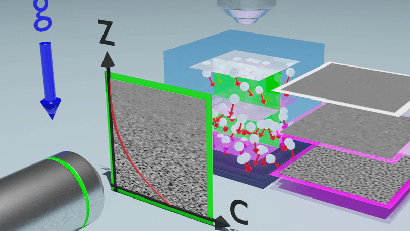The Non-Equilibrium Physics of Colloidal Sedimentation