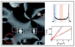 Viscoelasticity of nematic liquid crystals at a glance