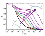 Equilibrium gels of trivalent DNA-nanostars: Effect of the ionic strength on the dynamics