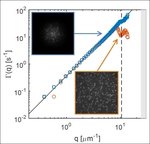 Image windowing mitigates edge effects in Differential Dynamic Microscopy