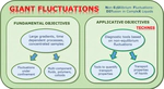 Giant Fluctuations Induced by Thermal Diffusion in Complex Liquids