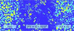 Disentangling collective motion and local rearrangements in 2D and 3D cell assemblies