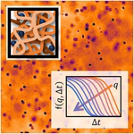 Differential dynamic microscopy for the characterization of polymer systems
