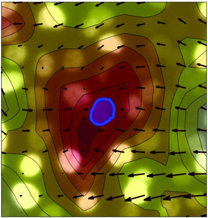 Non Invasive Measurement Of Nuclear Relative Stiffness From Quantitative Analysis Of Microscopy