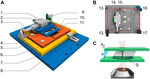 Quantitative rheo-microscopy of soft matter
