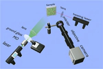 Echo speckle imaging of dynamic processes in soft materials